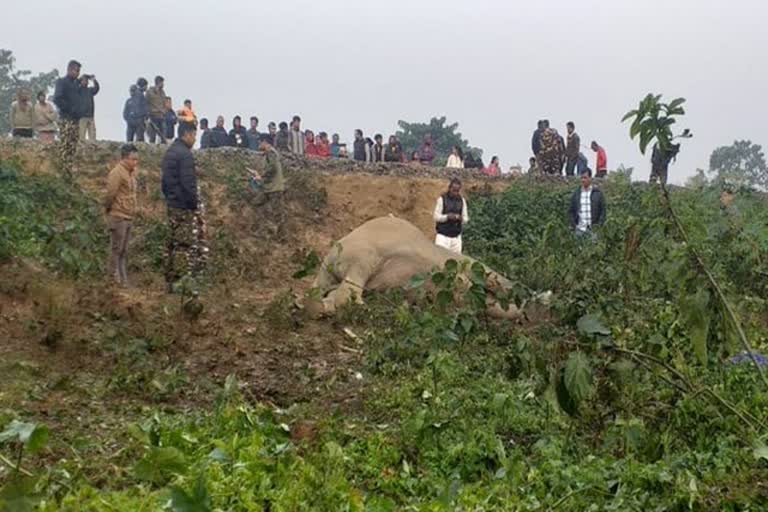 Two elephants have been killed after being hit by a passenger train near Batasi in Darjeeling, earlier today.