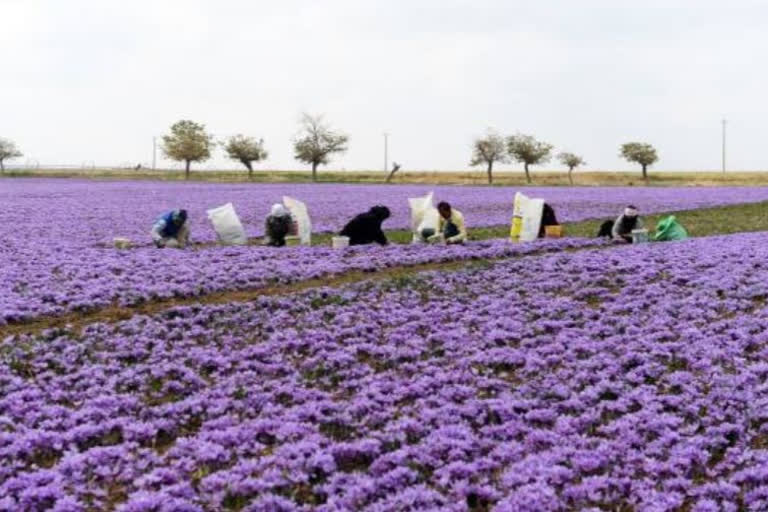 Indian government to develop data bank of farmers across country