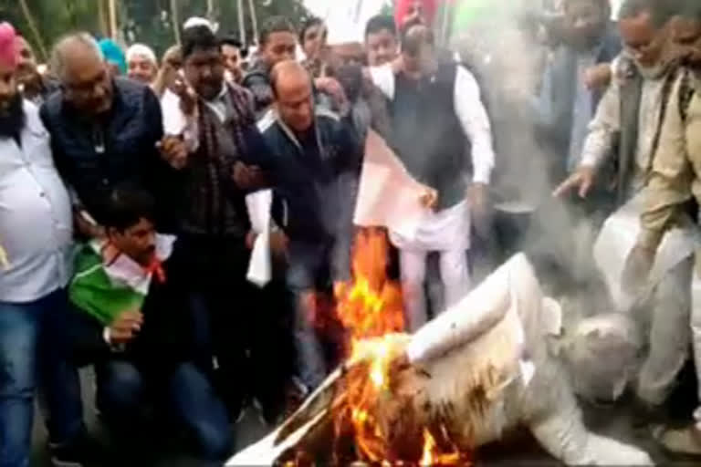 congress protest against CAB in chandigarh