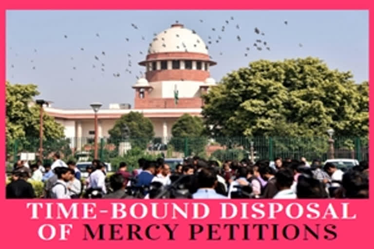 Plea in SC seeks framing of guidelines