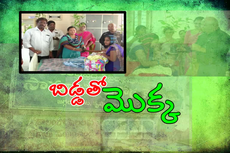 plant-baby-scheme-in-jaggaiahpeta-in-krishna-district