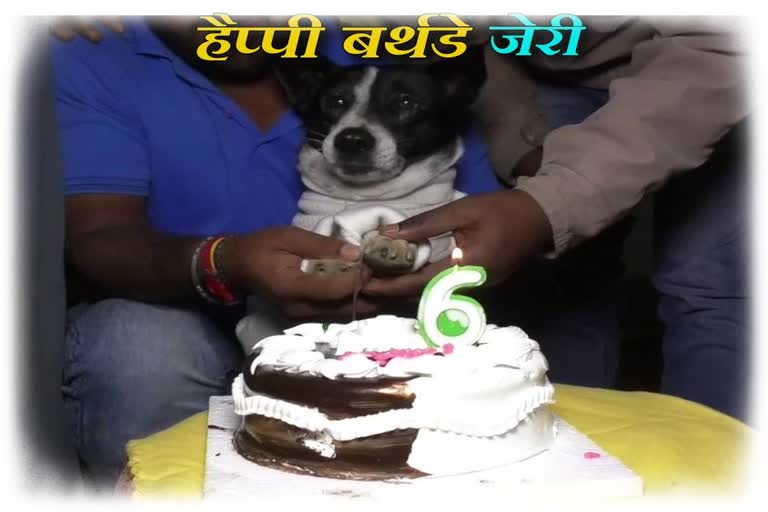 Special story on birthday celebration of a Dog in ambikapur