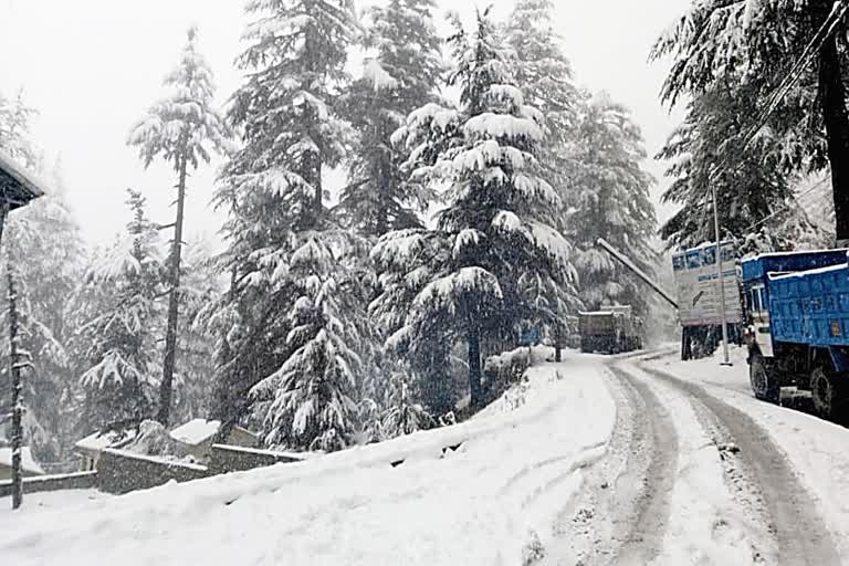 snowfall in chamoli