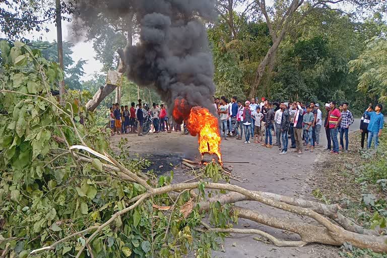 গছ বগৰাই পথ অৱৰোধৰ চেষ্টা