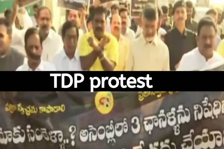 TDP protest against alleged ban on assembly proceedings coverage