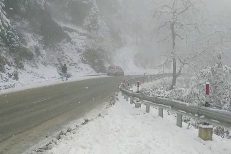 Snowfall in Kufri and Narkanda