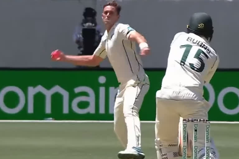 Australia vs new zealand 1st test : tim southee bringing the aggression against joe burns