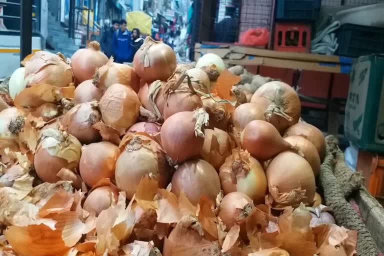 onion price