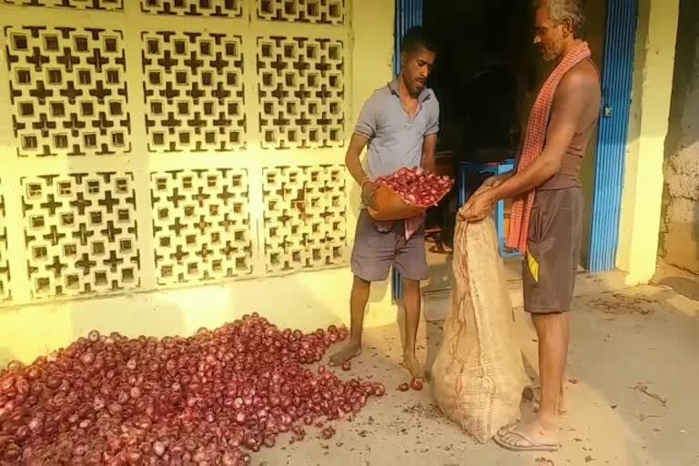 Onion prices come down