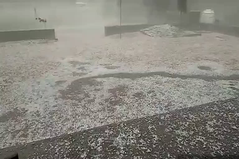 hail fell in Sikar, सीकर न्यूज