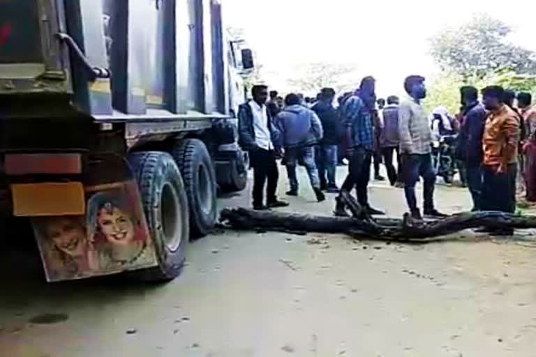 student died in road accident in kapasan, कपासन में सड़क हादसा