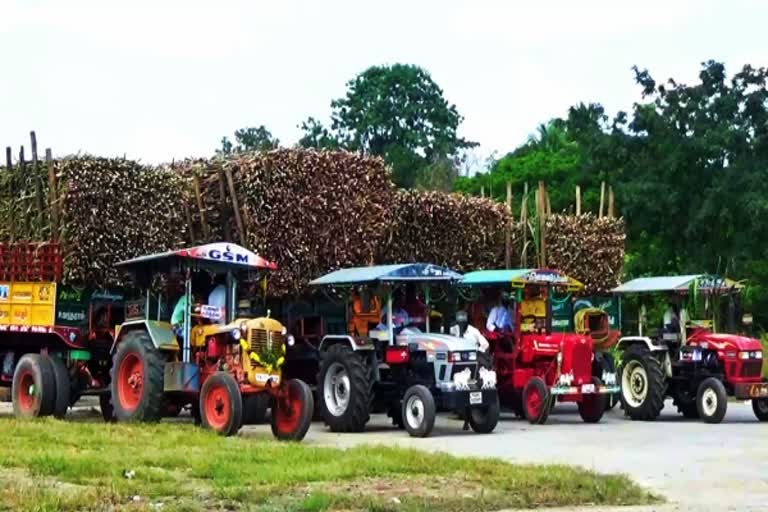 sugarcane slash mill