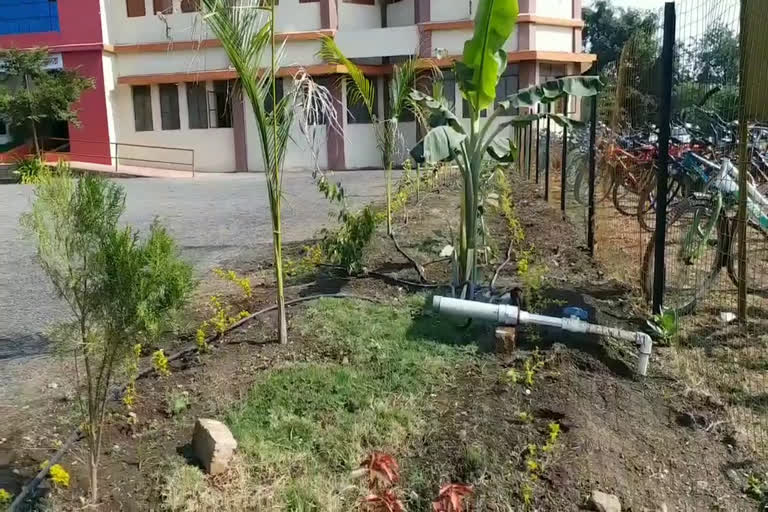 drip irrigation system