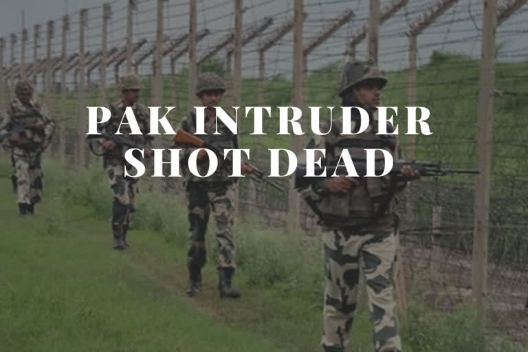 Pak intruder shot dead in Samba sector of Jammu and Kashmir