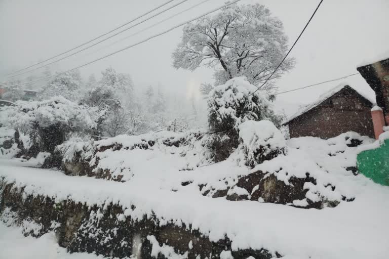 Exams postponed due to snowfall in Chamba