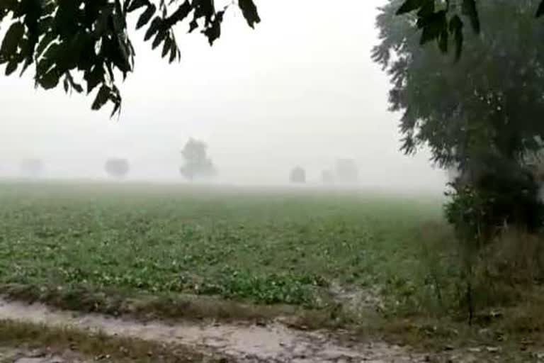 rainfall in bhiwani