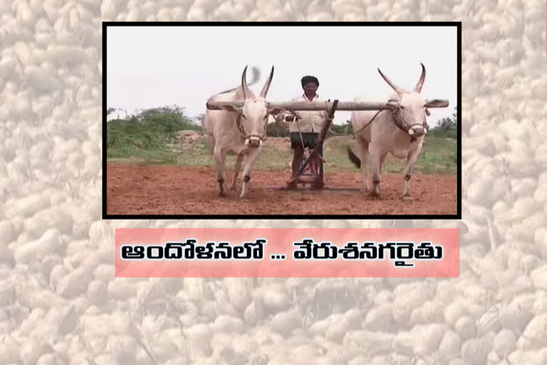 groundnut farmers problems at ananatapur dist