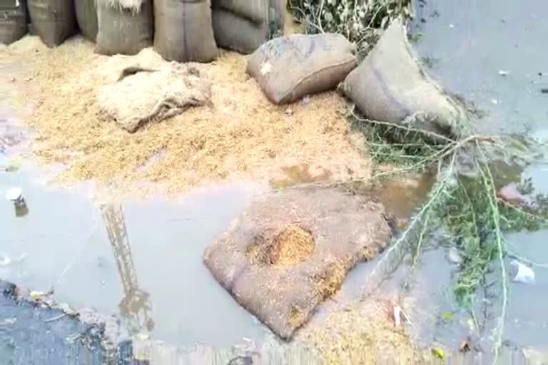 paddy kept in nuh grain market