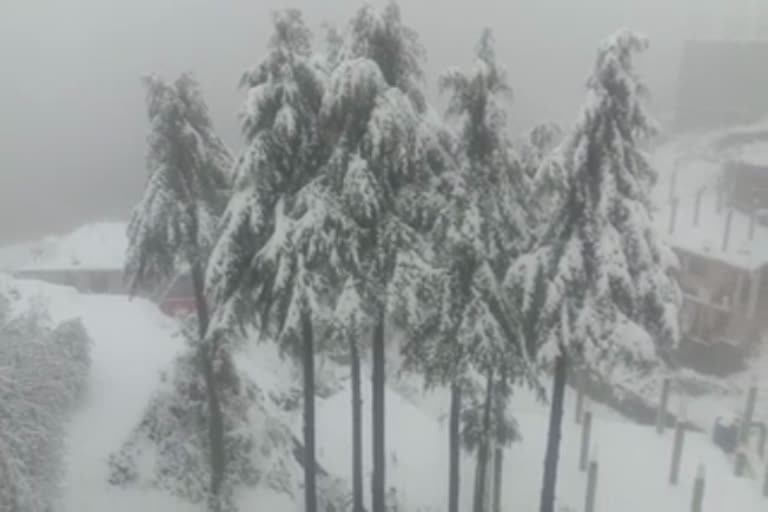 Snowfall in Nahan