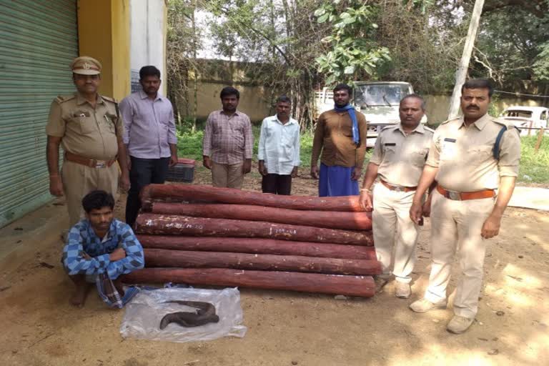 red sandalwood smuggling