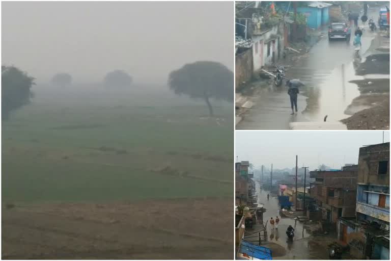 increased cold due to rain in sahibganj