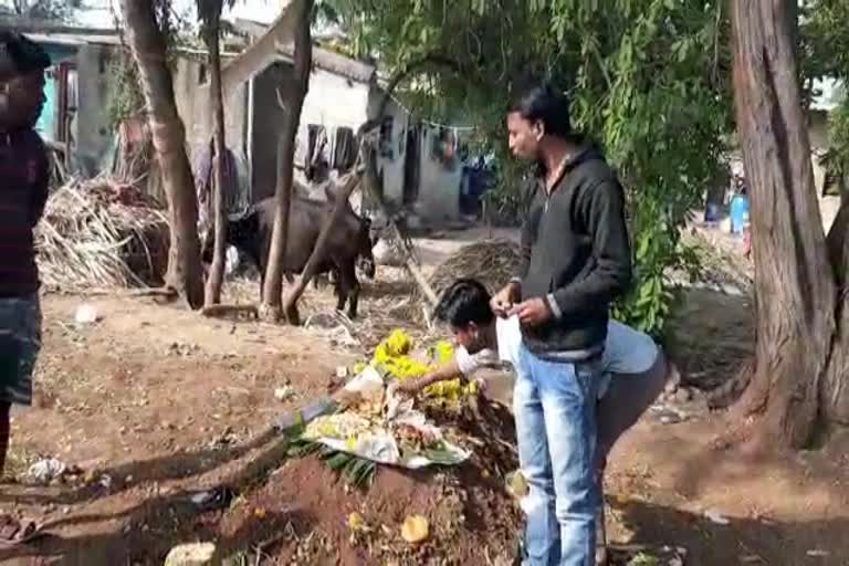 chikkodi boys eat grave of crows