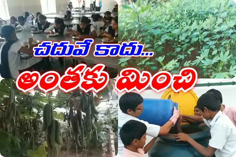 http://10.10.50.85:6060//finalout4/andhra-pradesh-nle/thumbnail/14-December-2019/5373613_436_5373613_1576330997133.png