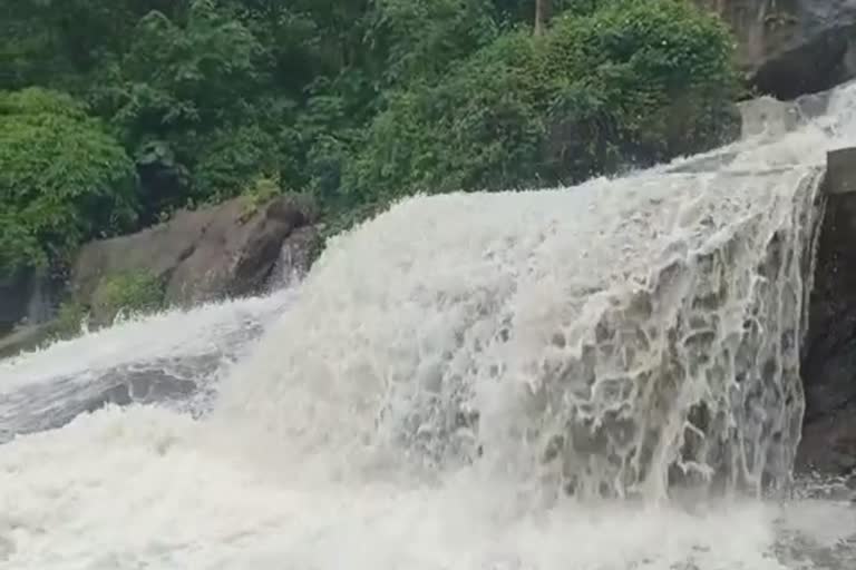 sudden flood in kovai kutralam falls