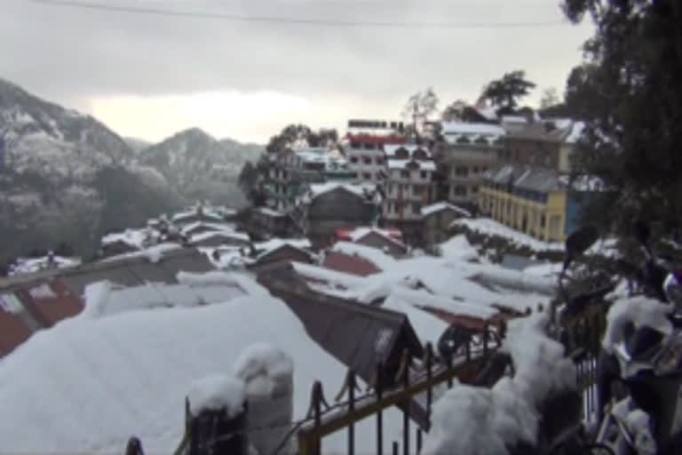 Heavy snowfall in Dalhousie