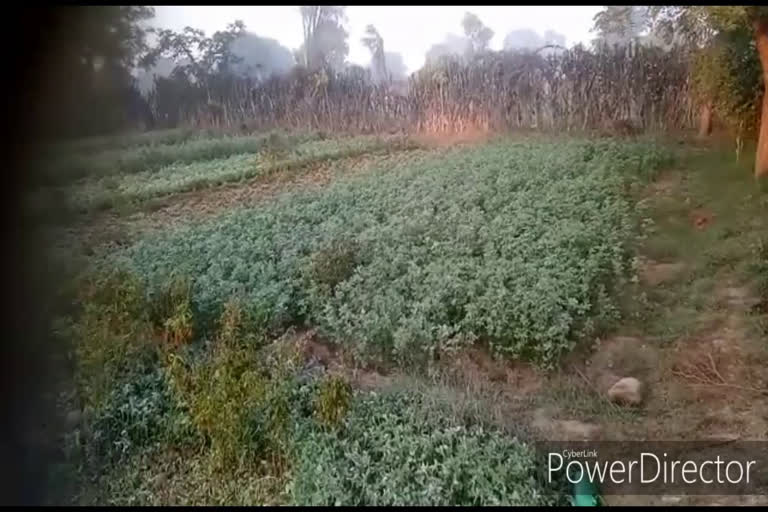 राजसमंद में सर्दी,Winter season in rajsamand,कड़ाके की ठंड, राजसमंद न्यूज, राजसमंद समाचार