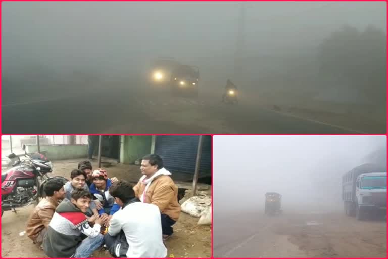 City in fog, people routine affected, karauli weather, sardarsahar weather, surajgarh weather, कोहरे के आगोश में शहर, करौली में मौसम