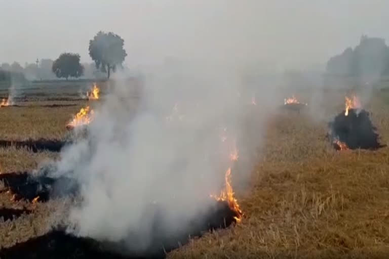 13 more farmers booked for burning stubble in UP's Shamli  കൃഷിക്ക് ശേഷം തീയിടല്‍: 13 പേര്‍ക്കെതിരെ കേസ്  കൃഷിക്ക് ശേഷം തീയിടല്‍: 13 പേര്‍ക്കെതിരെ കേസ്  മുസാഫര്‍നഗര്‍