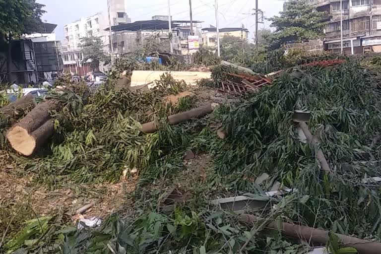 tree trunk in panvel; citizens objection on tree trunk