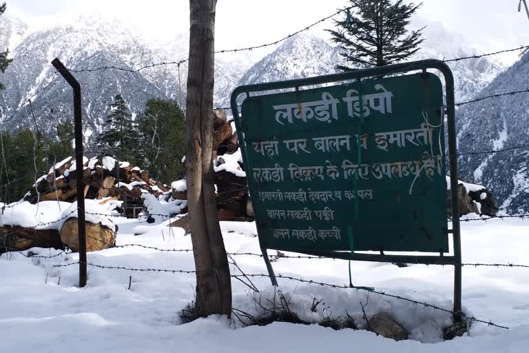 No wood in forest depot in Kinnaur