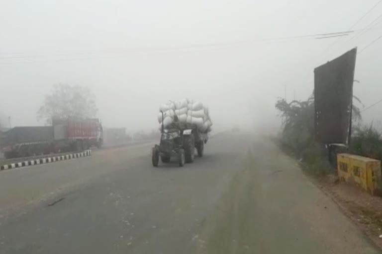 smog in bhiwani