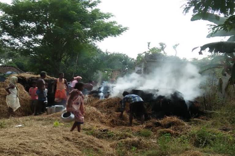 fire on rice field