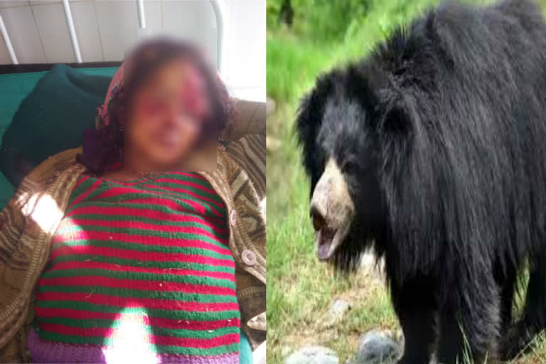 bear-attack-on-woman-in-rudraprayag