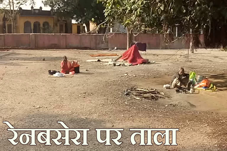 Lack of Ranbasera is forced to chill, jaipur news, जयपुर न्यूज