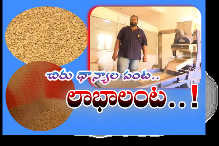 Young man making profit with cereal crops (millets) in prakasham district