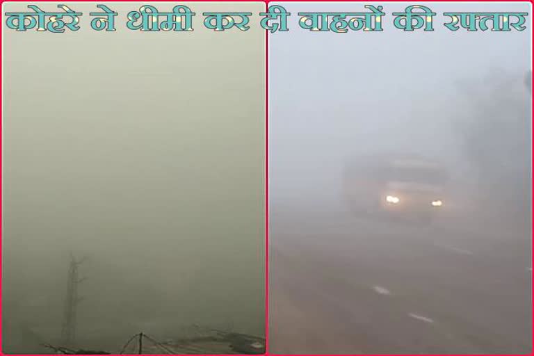 Hal-e-weather in Rajasthan, Fog brings temperatures below 10 degrees in many cities, cold winds choked, weather in jaipur, जयपुर में मौसम, राजस्थान में हाल-ए-मौसम, जयपुर में हाल-ए-मौसम