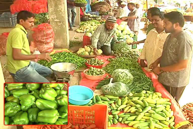 due-to-increased-prices-of-vegetables-in-madhya-pradesh-people-are-facing-problems