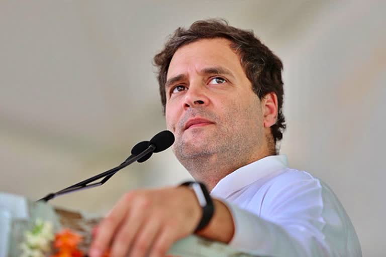 rahul gandhi