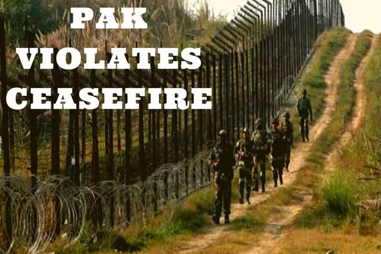 J-K: Pakistan violates ceasefire along LoC at Krishna Ghati sector