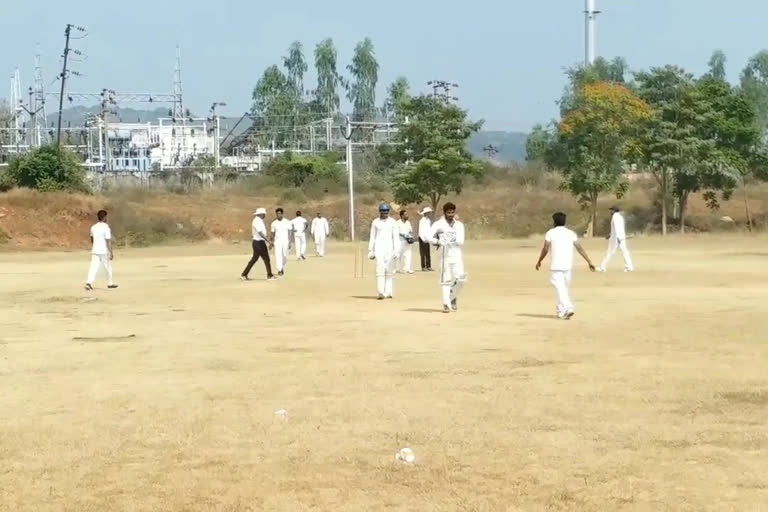 eenadu cricket tournament started in echherla srikakulam district