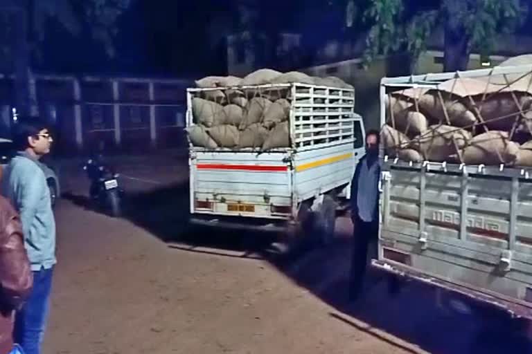 Two pickups including 124 bags of paddy seized in Pakhajur