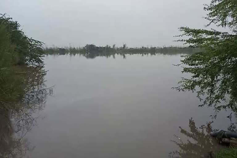 sewage plant overflow in Charkhi Dadri