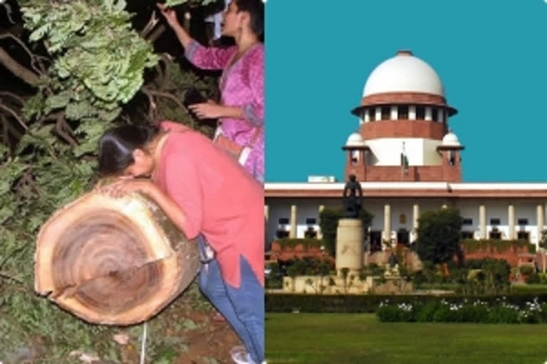 SC will hear the Aarey matter in January