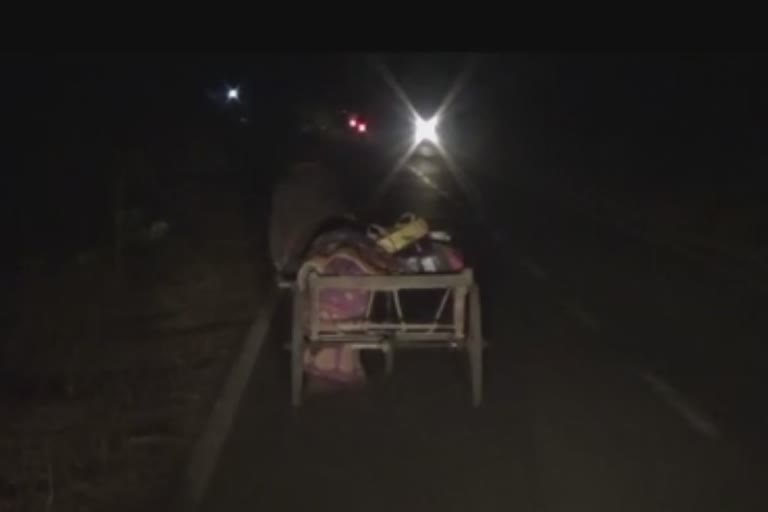 husband pulled wife's body, husband carried wife's body in trolley, mayurbhanj news, ଟ୍ରଲିରେ ବୋହିଲା ସ୍ତ୍ରୀର ମୃତଦେହ, ପୁଣି ଏକ ଦାନ ମାଝି,  ମୟୁରଭଞ୍ଜ ଜିଲ୍ଲା କପ୍ତିପଦା ଥାନା, ସାନଜୁନୁପାଳ ଗ୍ରାମ, ଖେଲା ସୋରେନ୍