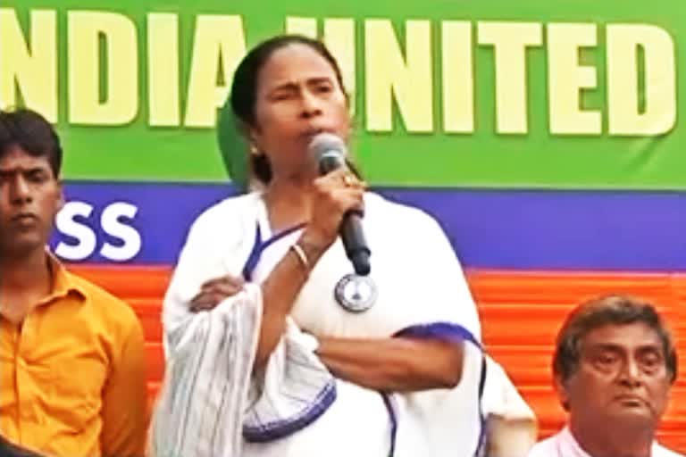 mamata