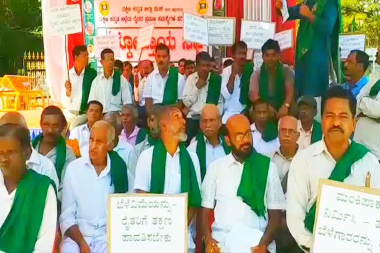 Farmers protest against central and state government